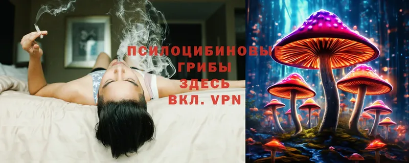 Псилоцибиновые грибы MAGIC MUSHROOMS  Верхняя Салда 